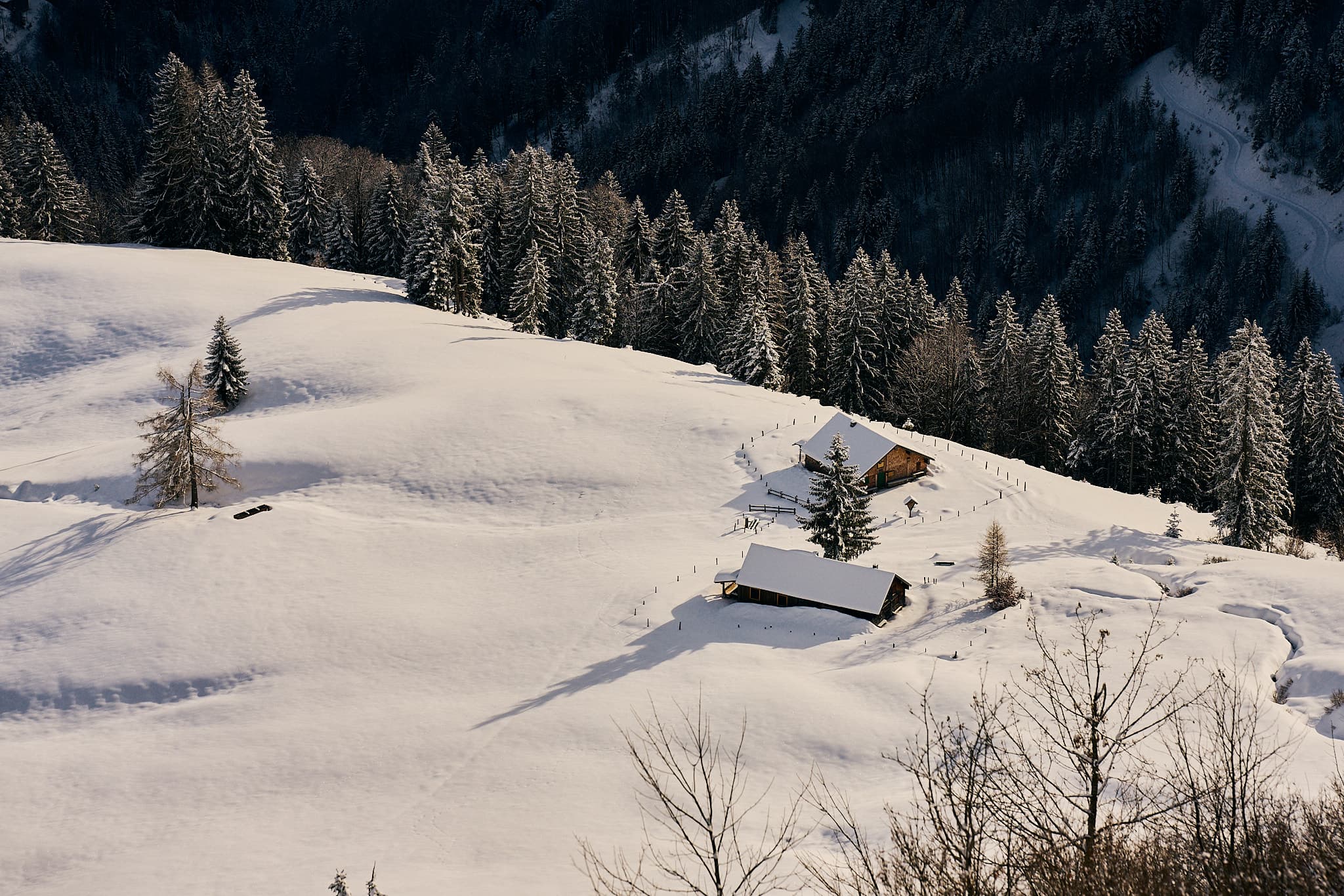 Additional image 9 for Erfahrungen mit dem Tamron 35-150mm f/2-2.8 Di III VXD