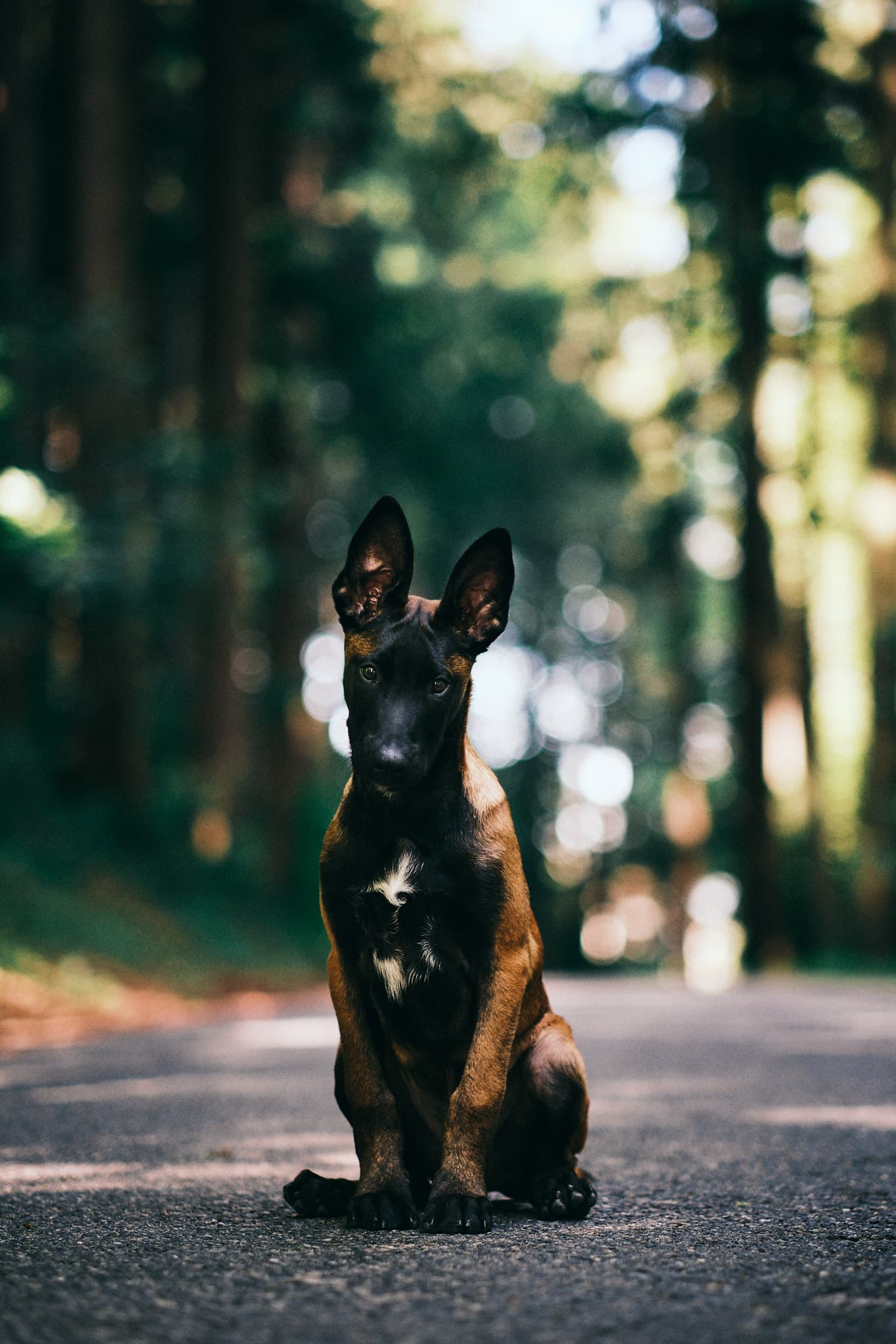 Delta